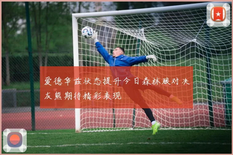 爱德华兹状态提升今日森林狼对决灰熊期待精彩表现
