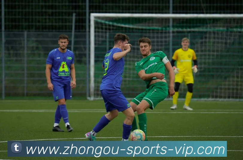 中欧体育APP 体育赛事宣传图